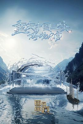 巴黎夜旅人