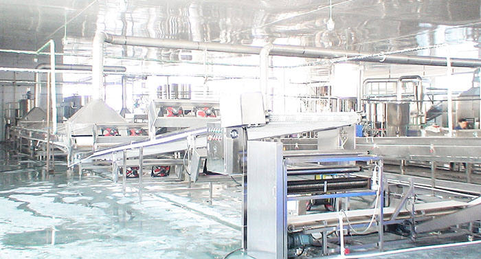 鮮河粉生產線 鮮河粉生產線